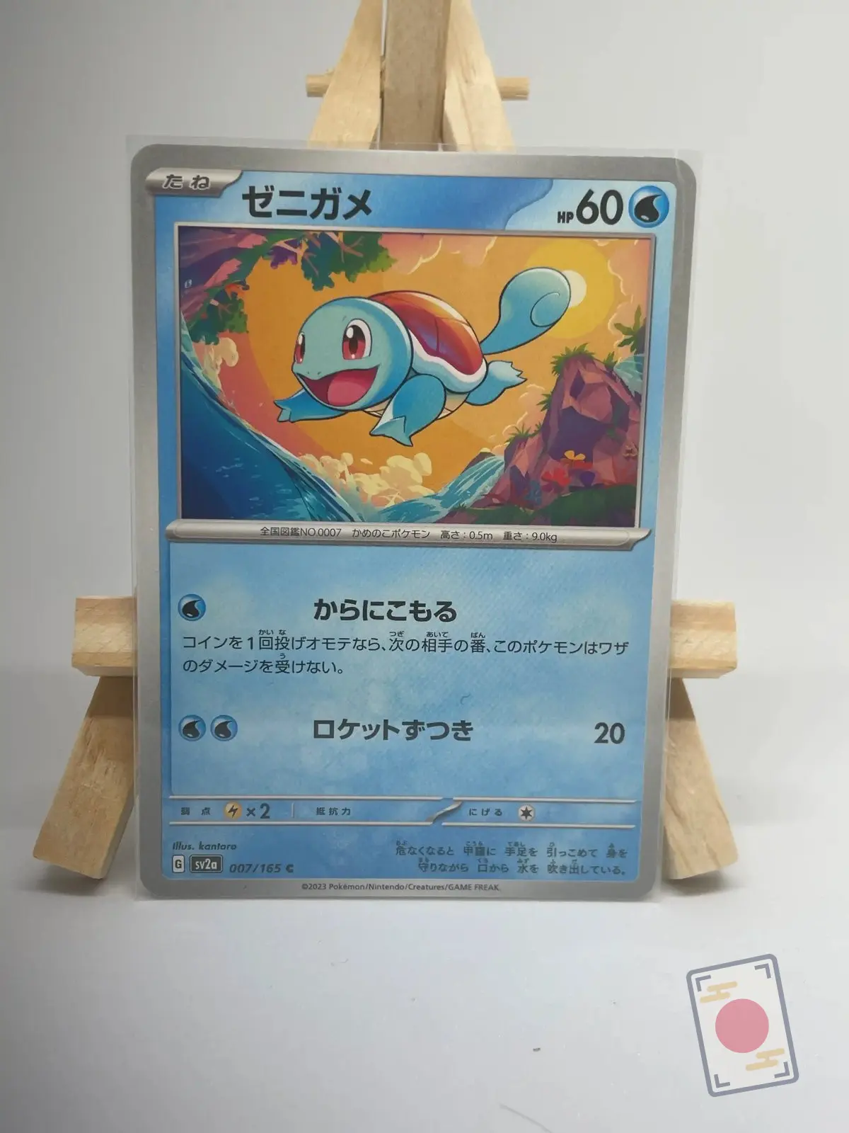 carapuce 007 165 sv2a Carte Pokémon japonaise Carapuce 007/165, extension sv2a Pokémon Card 151, illustrée par Kantaro