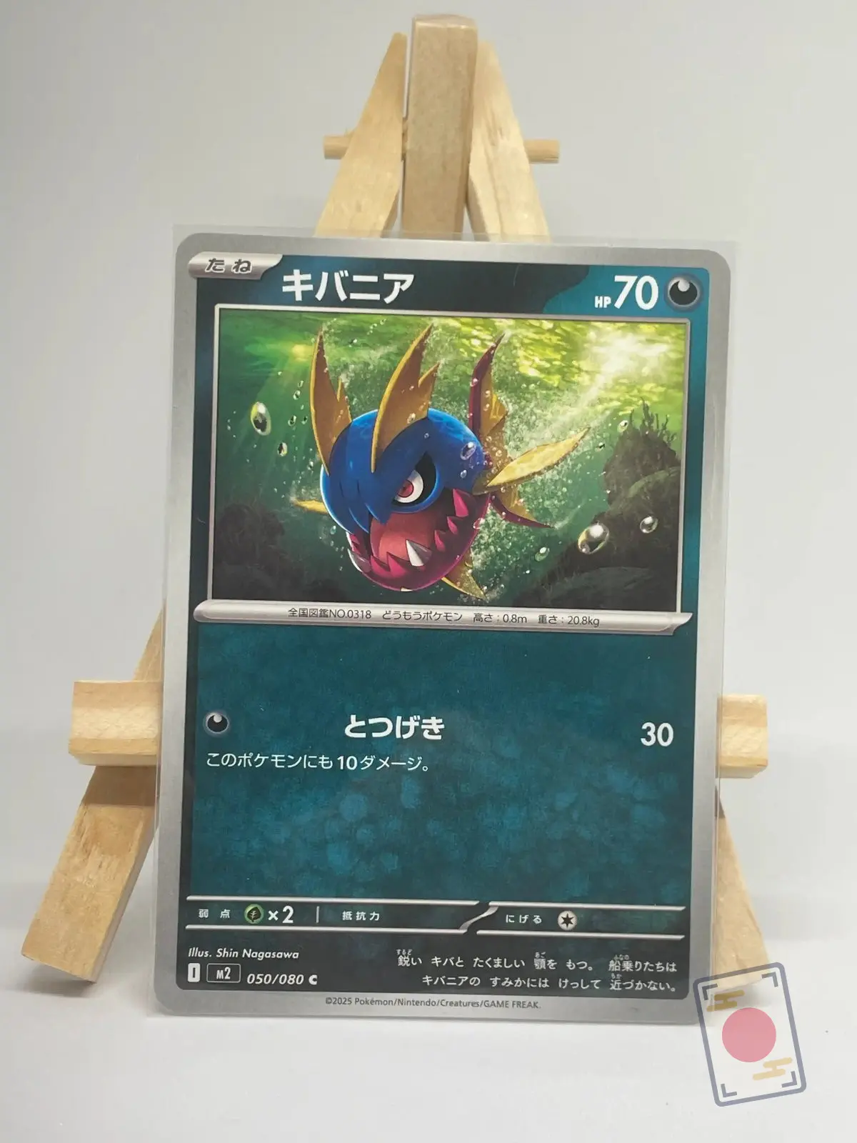 carvanha 050 080 m2 mega inferno x Carte Pokémon japonaise Carvanha 050/080, extension m2 MEGA Inferno X, illustrée par Shin Nagasawa