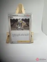 Japanese Trainer card Gordie 067/069, Supporter from the s6a Eevee Heroes set, illustrated by take, copy 2