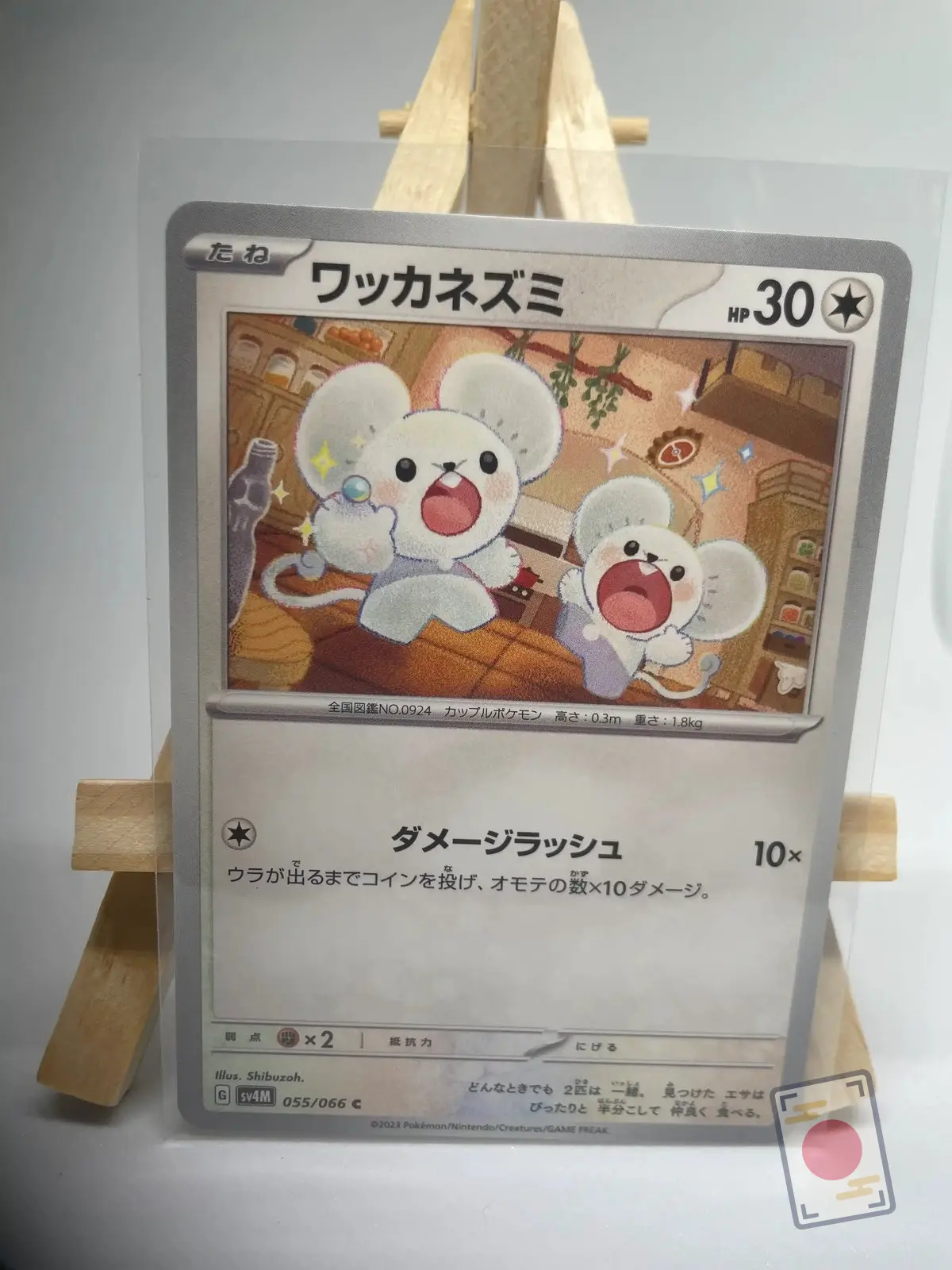 compagnol 055 066 sv4m Japanese Pokémon card Tandemaus 055/066, sv4M Future Flash Paradox Rift set, illustrated by Shibuzoh