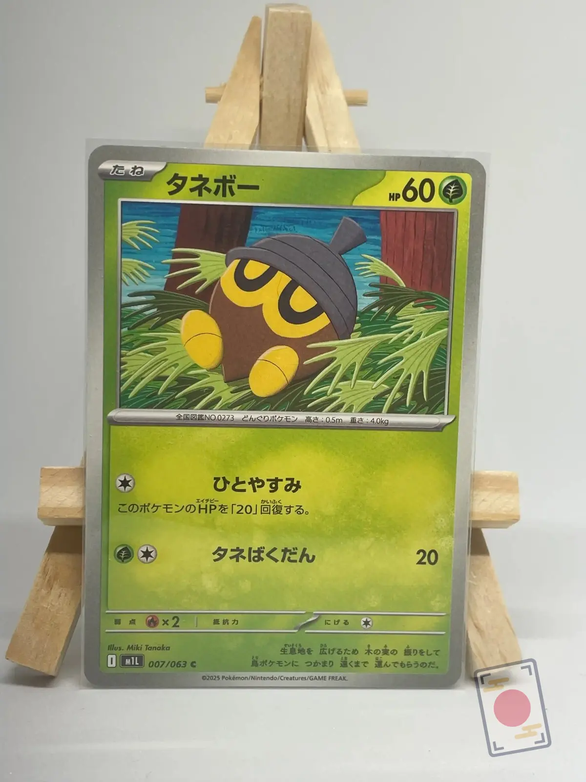 grainipiot 007 063 m1l mega brave Japanese Pokémon card Seedot 007/063, m1L MEGA Brave set, illustrated by Miki Tanaka