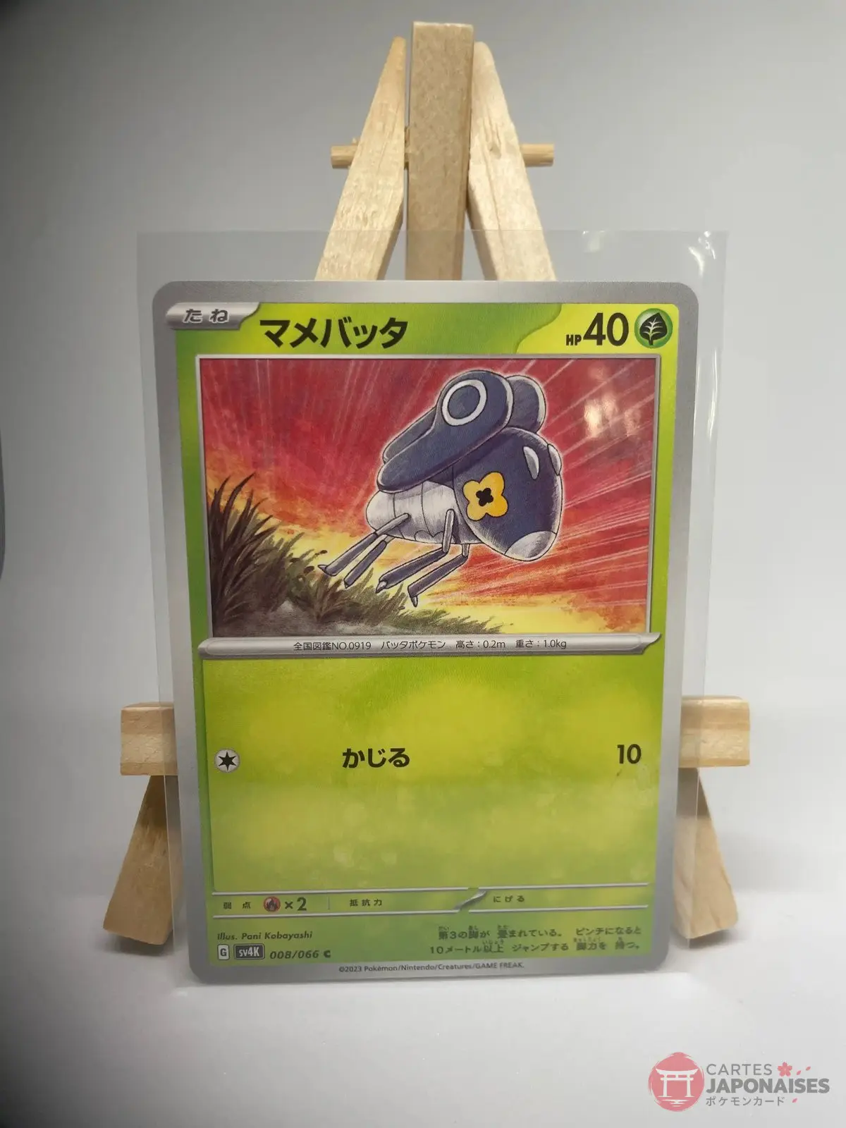 lilliterelle 008 066 sv4k Japanese Pokémon card Nymble 008/066, set sv4K Ancient Roar Paradox Rift, illustrated by Pani Kobayashi