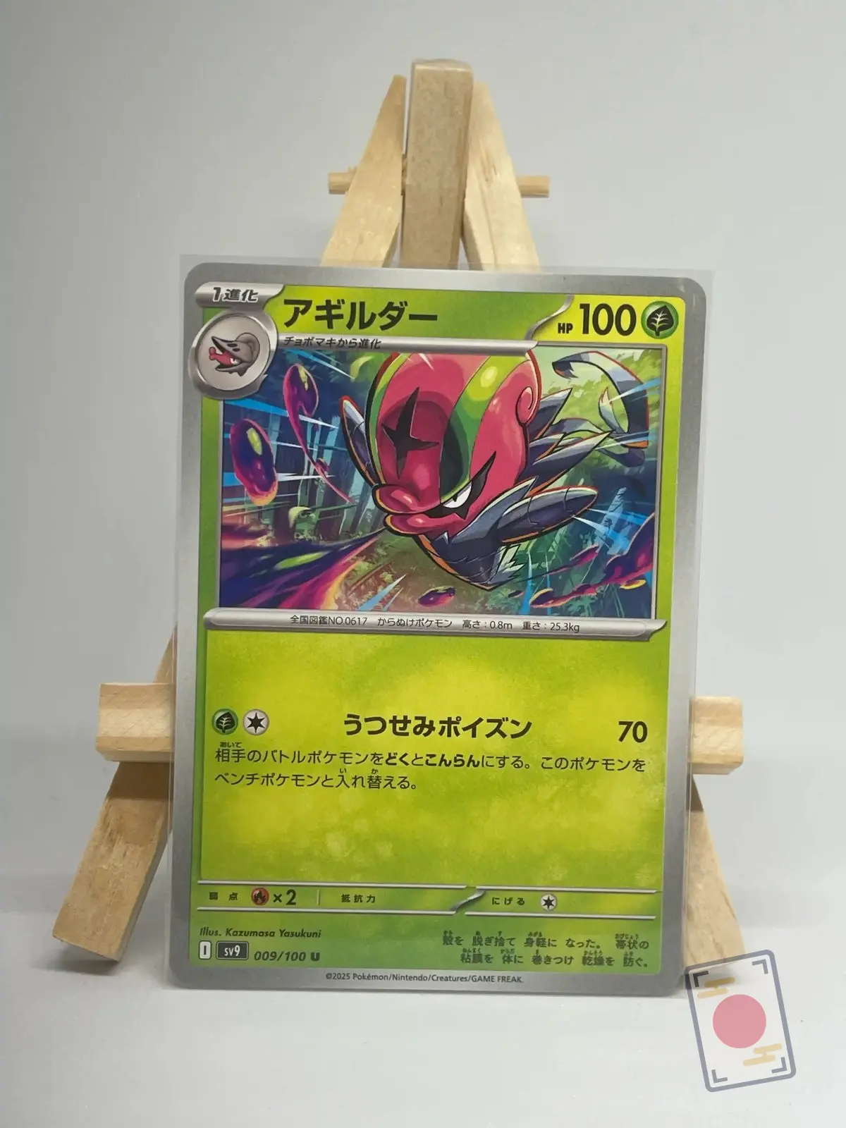 limaspeed 009 100 sv9 battle partners Japanese Pokémon card Accelgor 009/100, sv9 Battle Partners, illustrated by Kazumasa Yasukuni