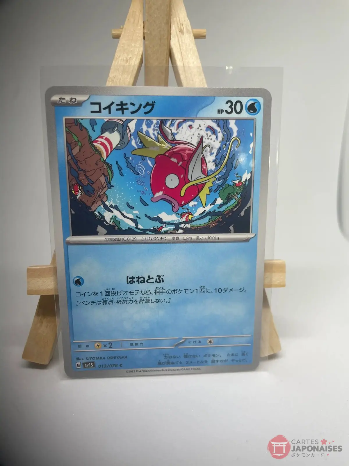 magicarpe 013 078 sv1s Japanese Pokémon card Magikarp 013/078, set sv1S Scarlet ex Scarlet & Violet, illustrated by Kiyotaka Oshiyama