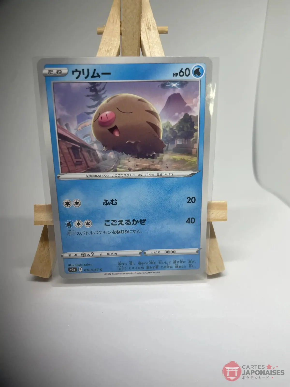 marcacrin 018 067 s9a Japanese Pokémon card Swinub 018/067, s9a Battle Region set (Astral Radiance), illustrated by Kouki Saitou