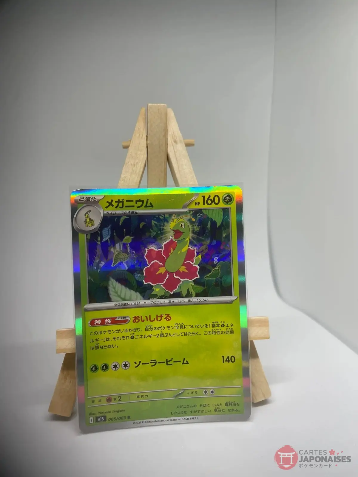 meganium r holo 005 063 m1s Japanese Pokémon card Meganium R holo 005/063, m1S MEGA Symphonia set (Mega Evolution), illustrated by Yoriyuki Ikegami
