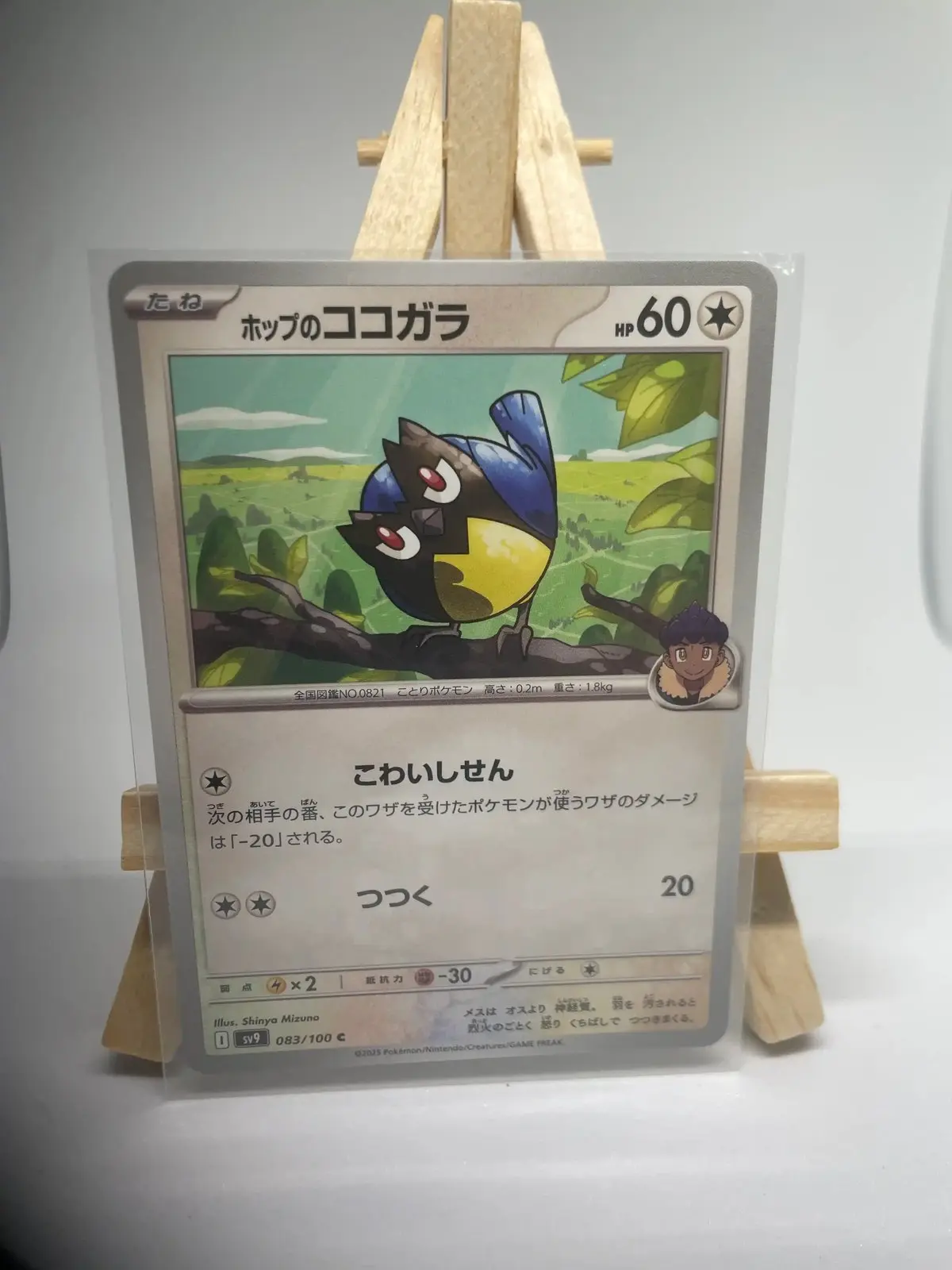 minisange de nabil 083 100 sv9 Japanese Pokémon card Hop's Rookidee 083/100, sv9 Battle Partners set (Journey Together), illustrated by Shinya Mizuno