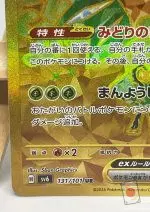 Close-up of the bottom left corner of the Teal Mask Ogerpon ex UR card – number 131/101