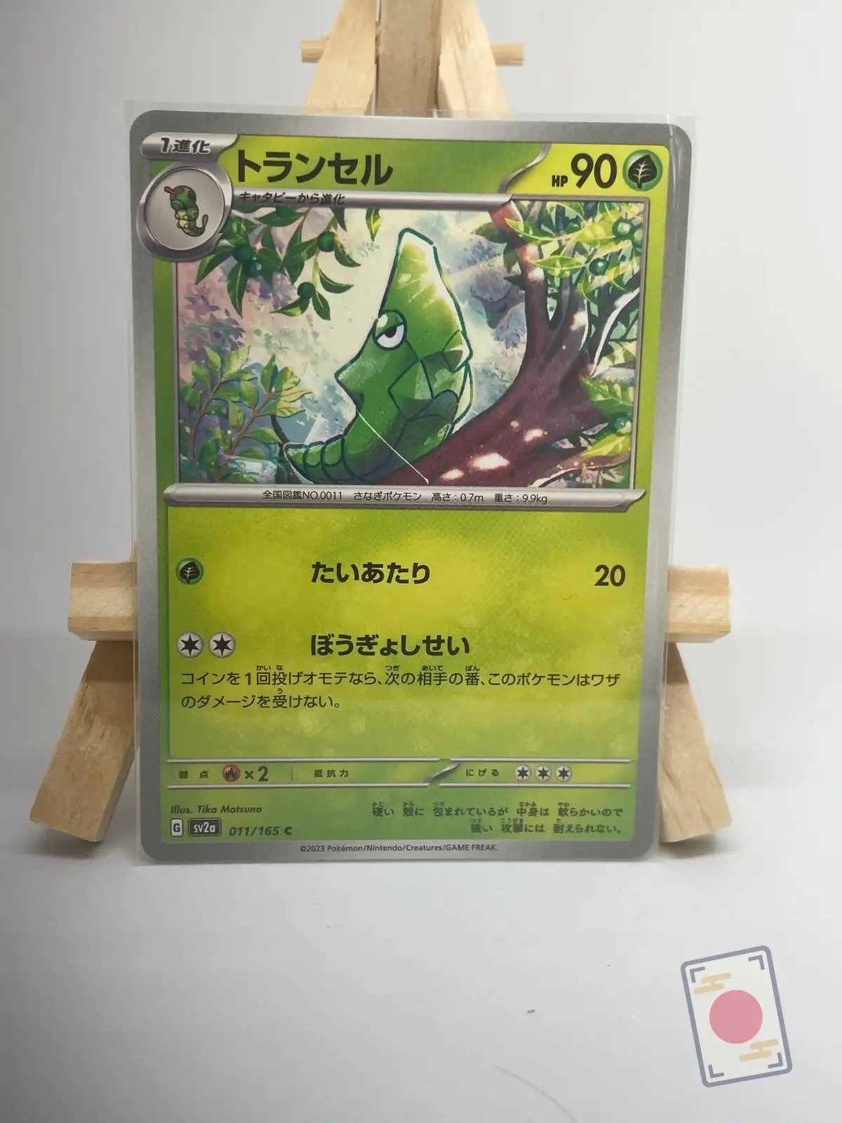 rondoudou 039 165 sv2a Japanese Pokémon card Metapod 011/165, set sv2a Pokémon Card 151, illustrated by Tika Matsuno