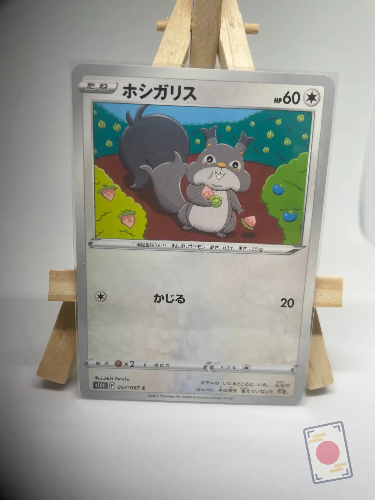 rongourmand 057 067 s10d Japanese Pokémon card Skwovet 057/067, set s10D Time Gazer Lost Origin, illustrated by Miki Tanaka