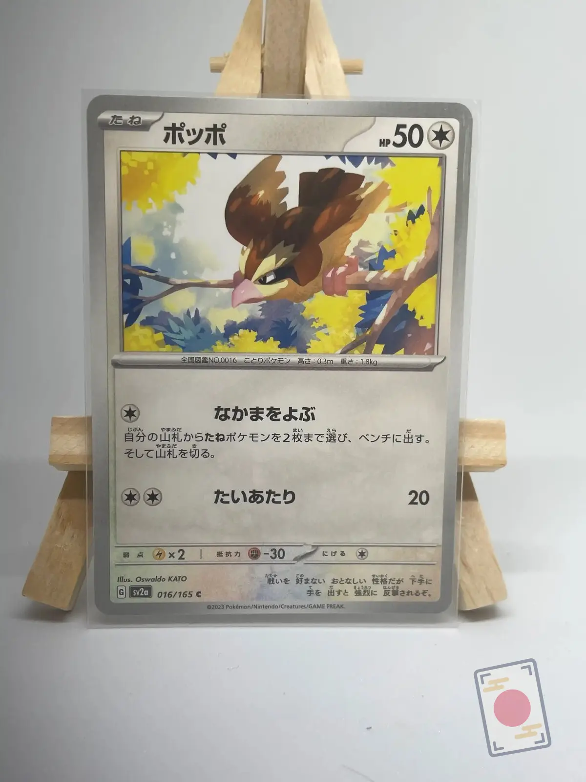 roucool 016 165 sv2a Japanese Pokémon card Pidgey 016/165, set sv2a Pokémon Card 151, illustrated by Oswaldo Kato