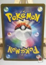 Back of the Japanese Pokémon card Hydreigon ex SAR 133/106